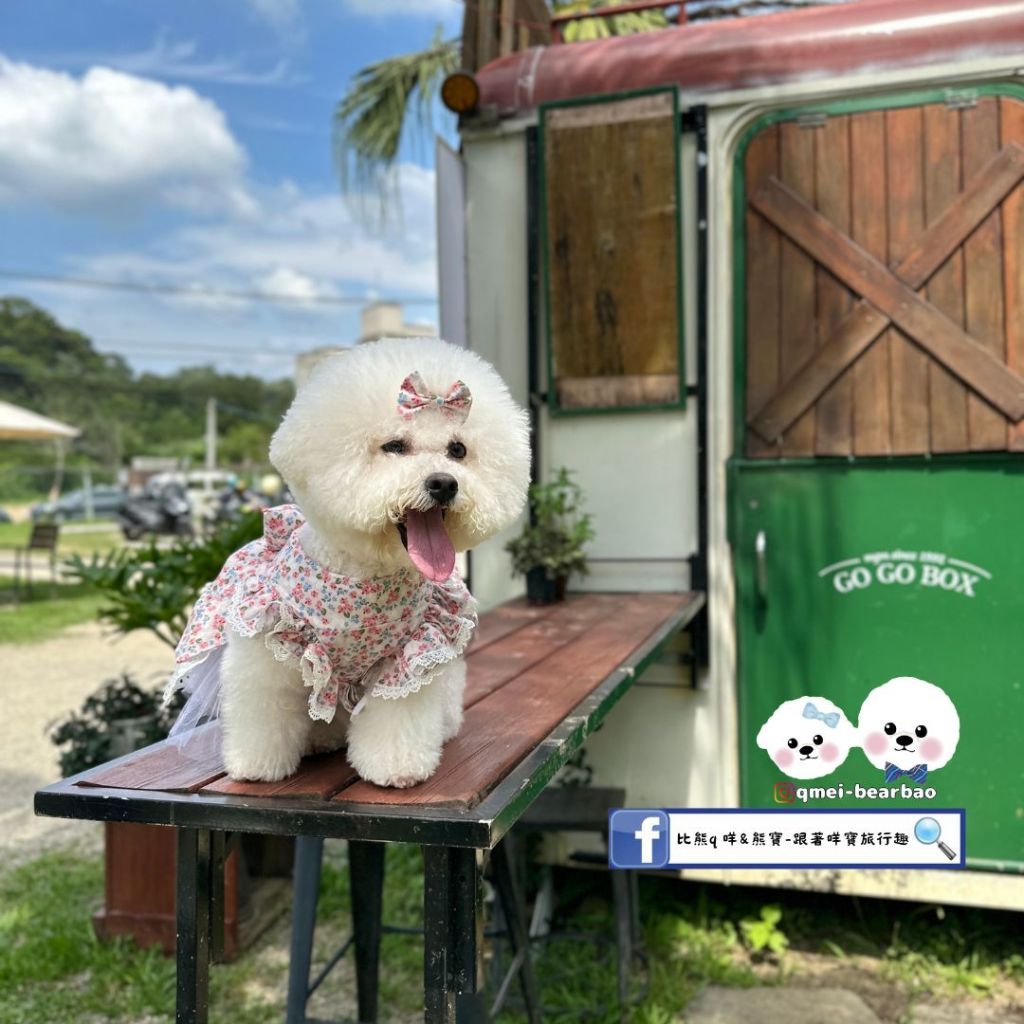 【寵物友善餐廳】GOGOBOX餐車誌