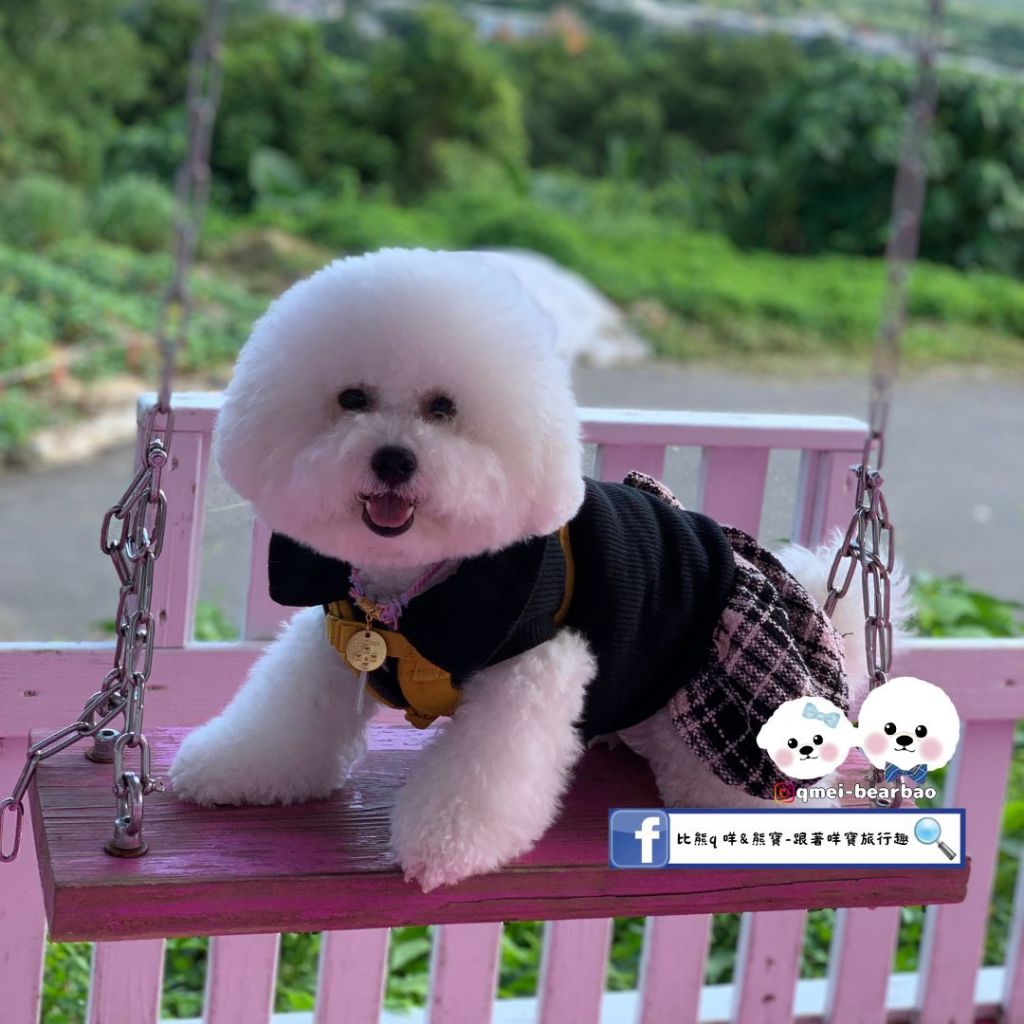 【寵物友善餐廳】Amaza兔子迷宮