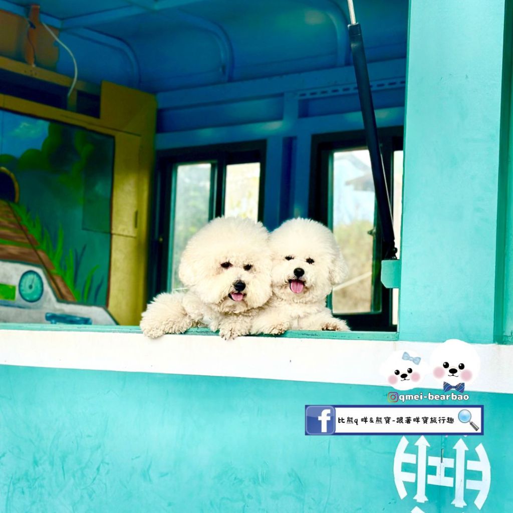 【寵物友善景點】天送埤車站
