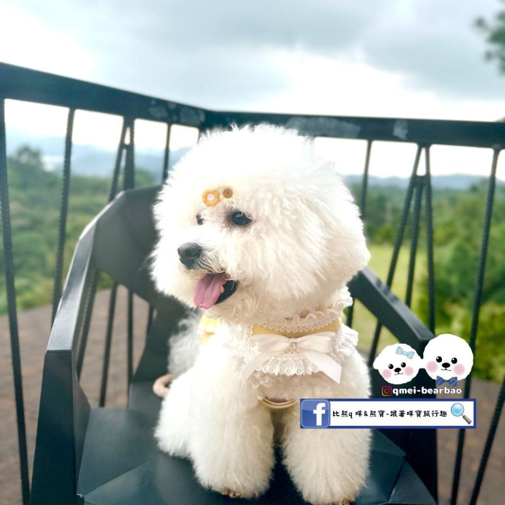 【寵物友善餐廳】丸山咖啡