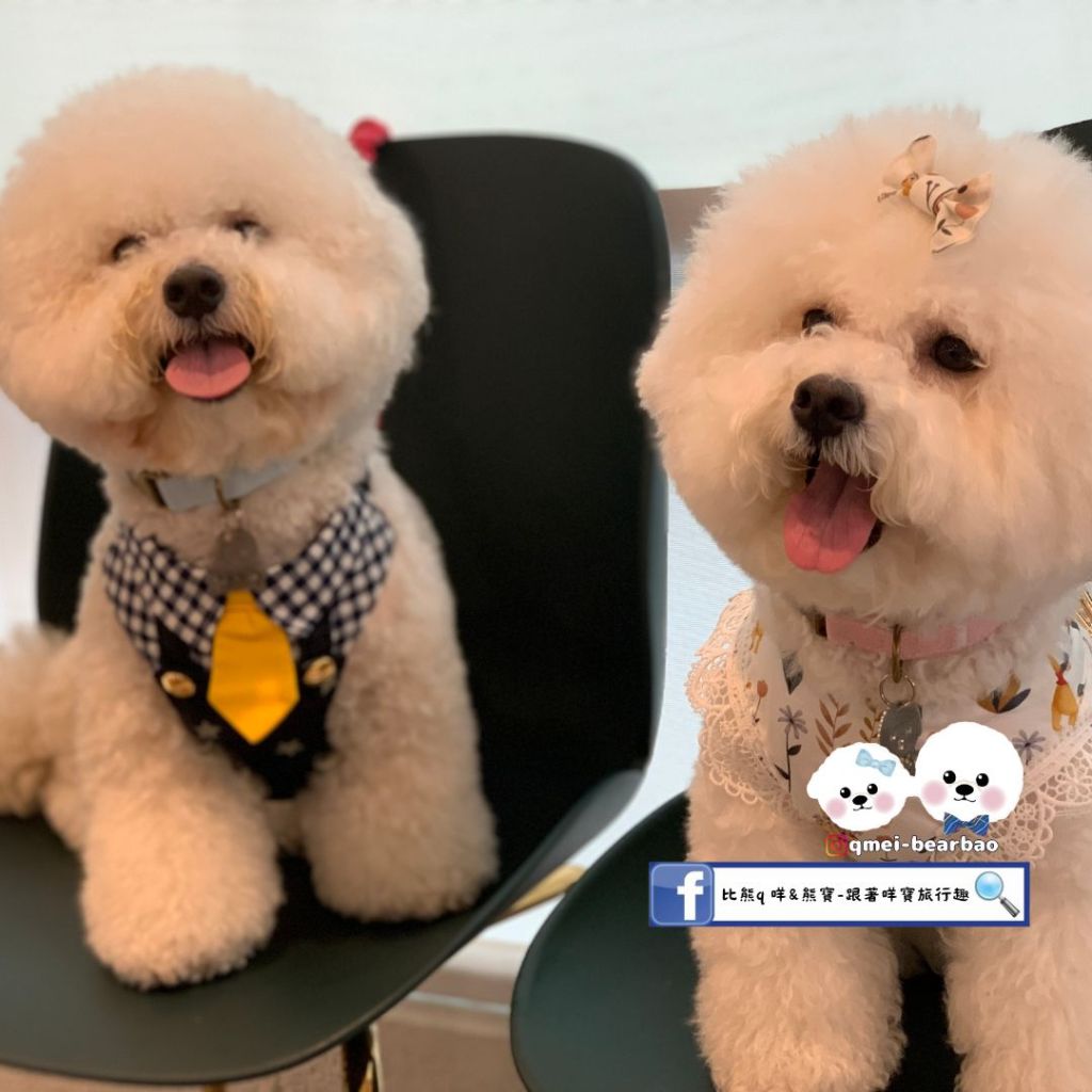 【寵物餐廳】NAGO NAGO