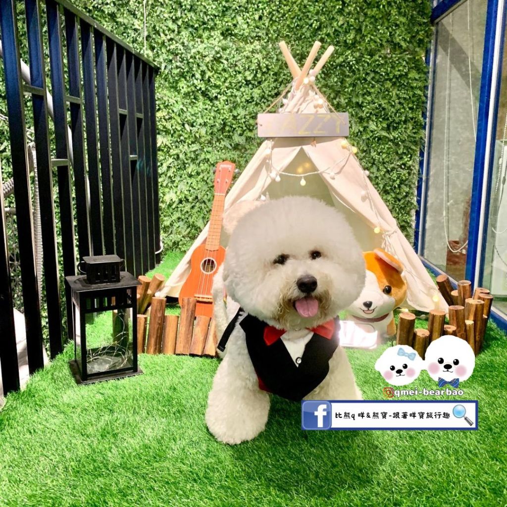 【寵物餐廳】Lazzy Cafe慵懶咖啡