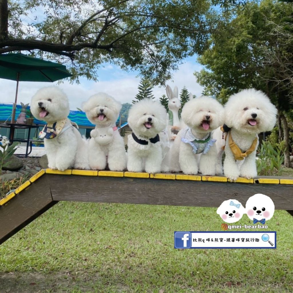 【寵物友善旅館】麥克尼景觀莊園