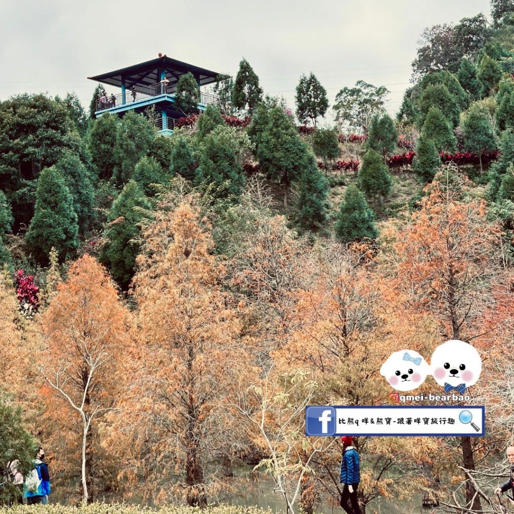 【寵物友善景點】三灣落羽松秘境莊園