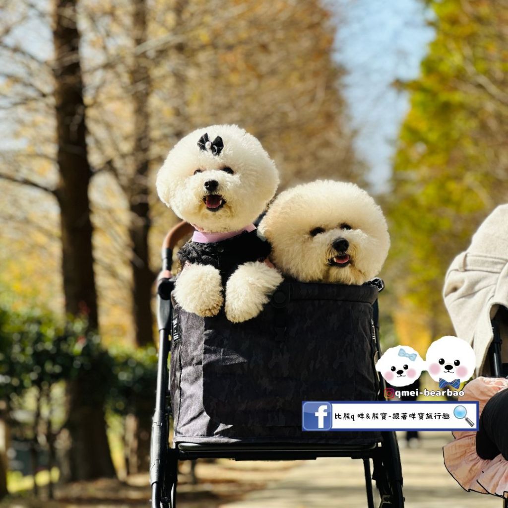 【寵物友善景點】小森之歌