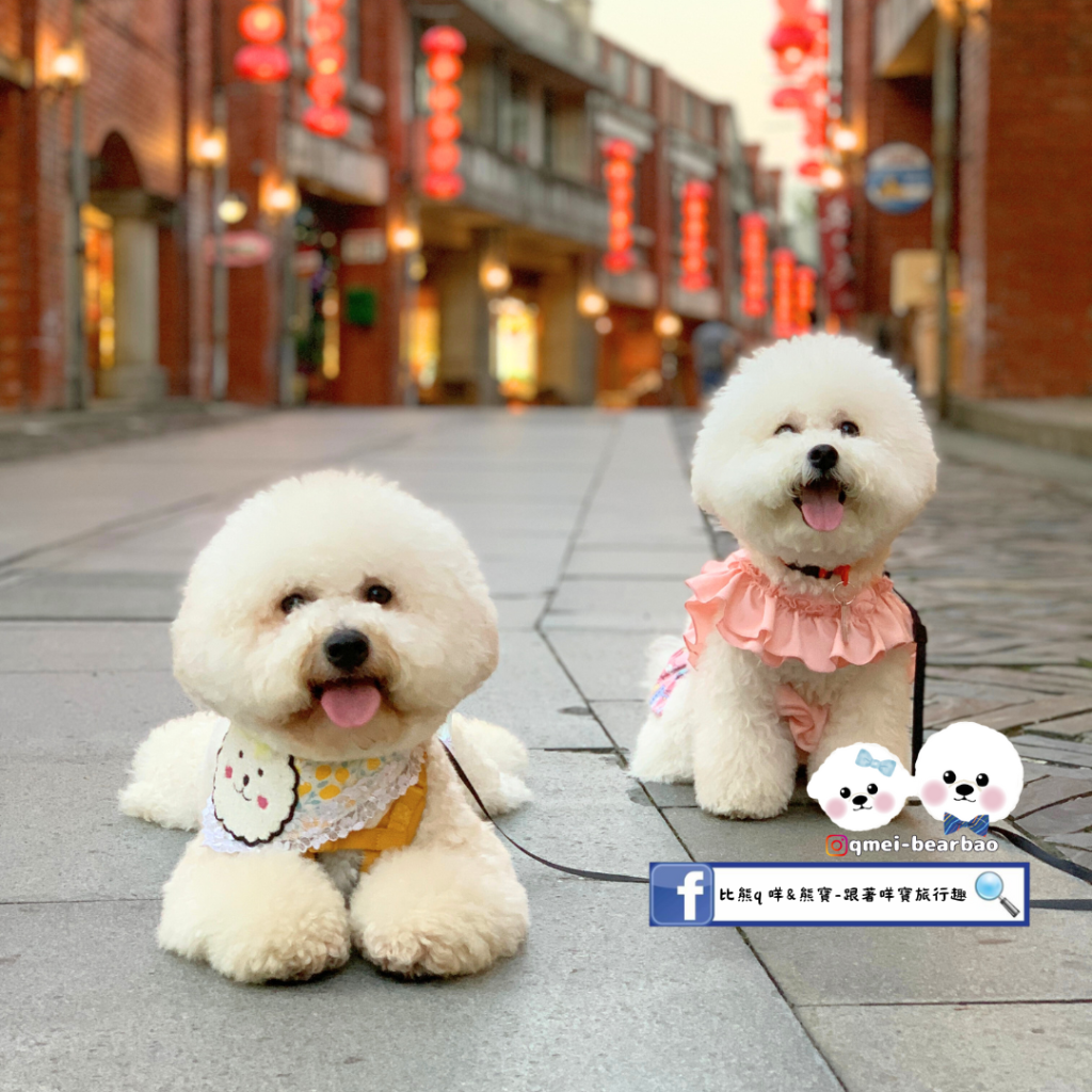 【寵物友善景點】宜蘭傳藝中心