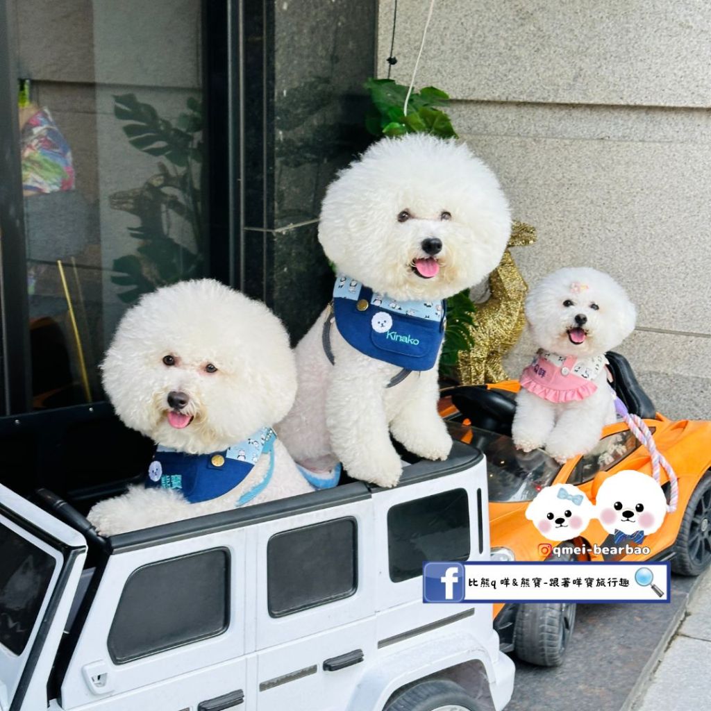 【寵物友善餐廳】沐 • Moon Street&nbsp;Cafe